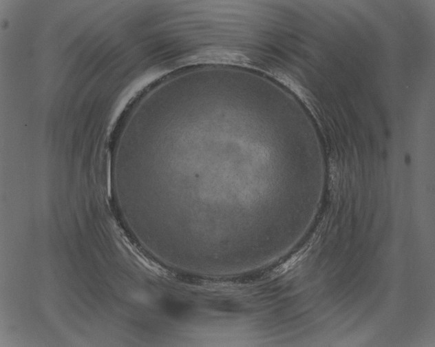 X0000067391123200603311252