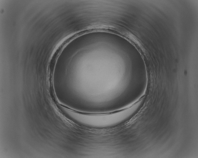 X0000067391124200603311252