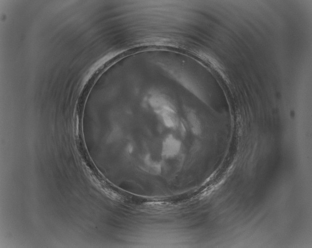 X0000067391125200603311252