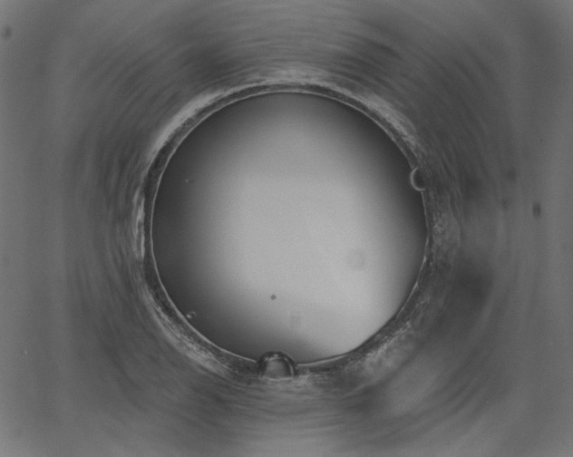 X0000067391126200603311252