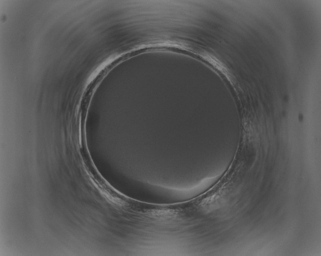 X0000067391127200603311252