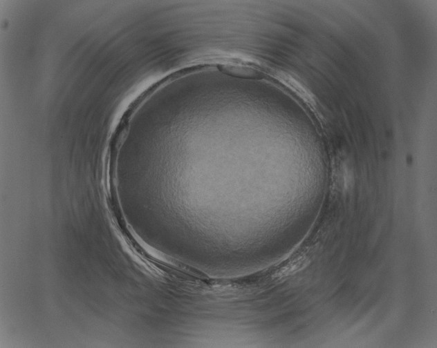 X0000067391128200603311252