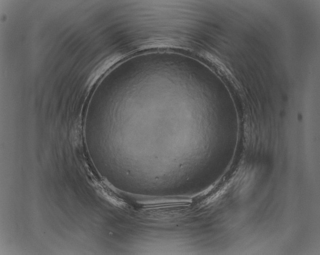 X0000067391129200603311252