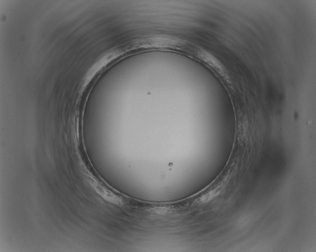 X0000067391130200603311252