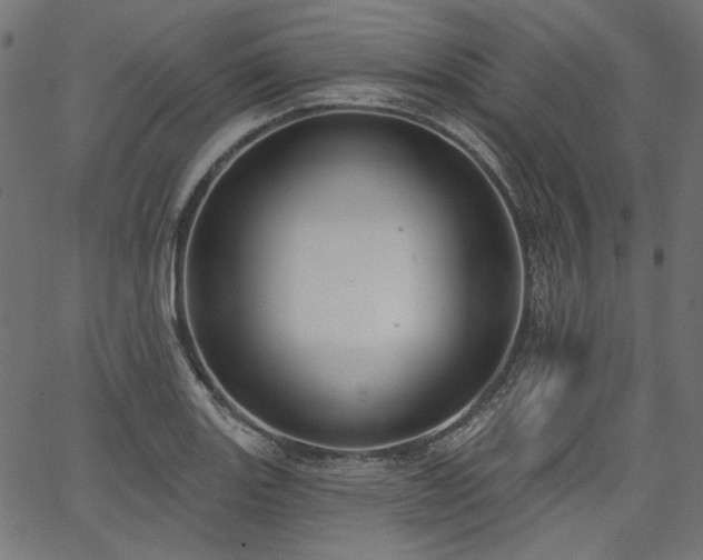 X0000067391131200603311252