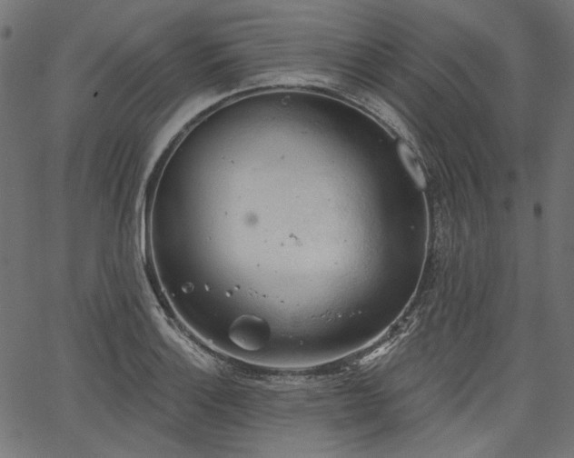 X0000067391132200603311252