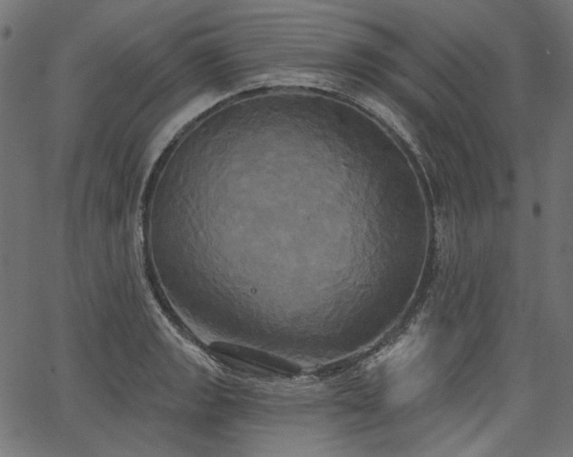 X0000067391133200603311252