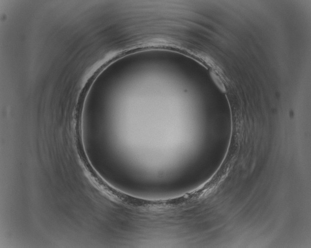 X0000067391134200603311252