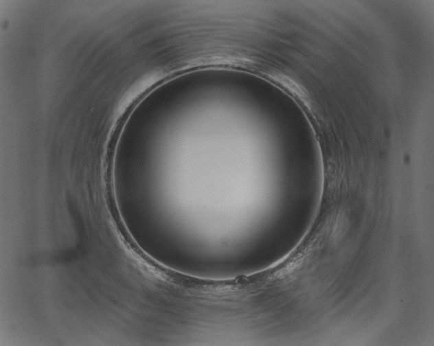 X0000067391135200603311252