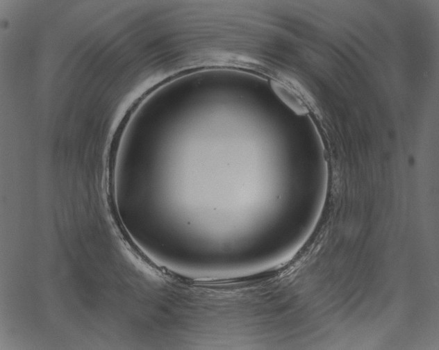 X0000067391136200603311252