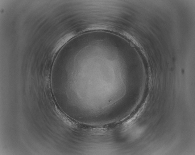 X0000067391137200603311252