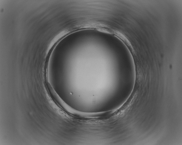 X0000067391138200603311252