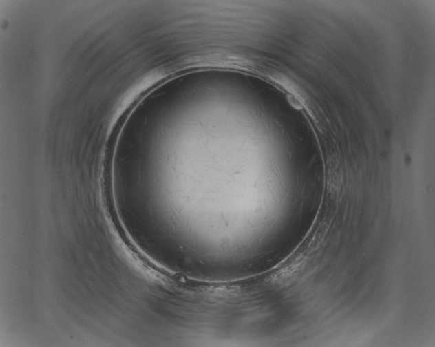 X0000067391139200603311252