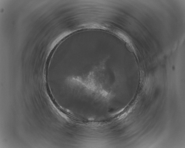 X0000067391141200603311252