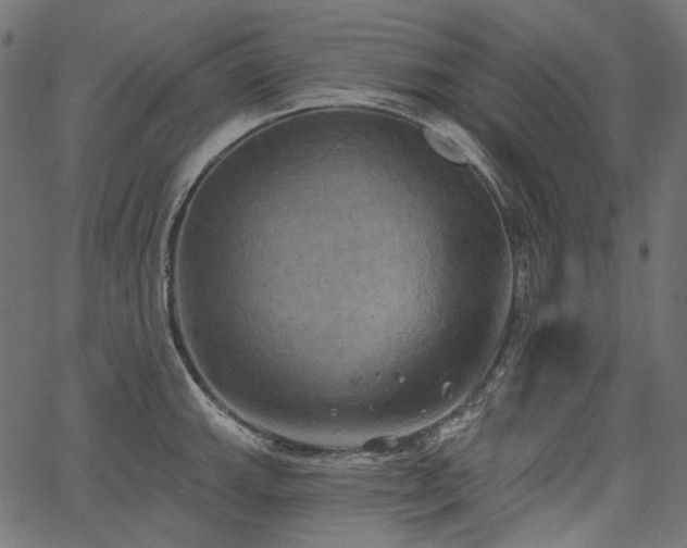 X0000067391143200603311252