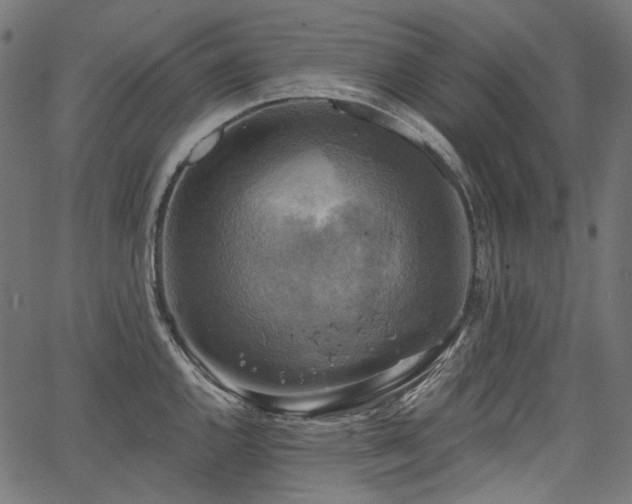 X0000067391144200603311252