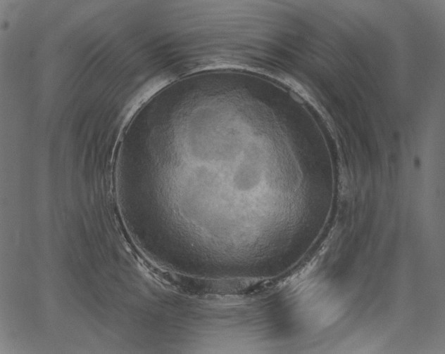 X0000067391145200603311252