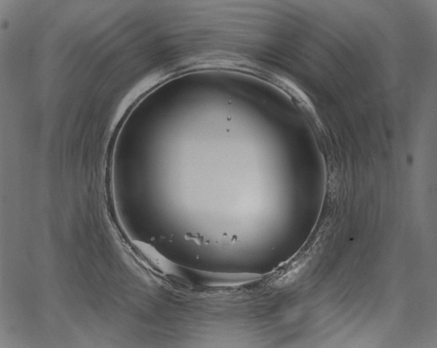 X0000067391146200603311252