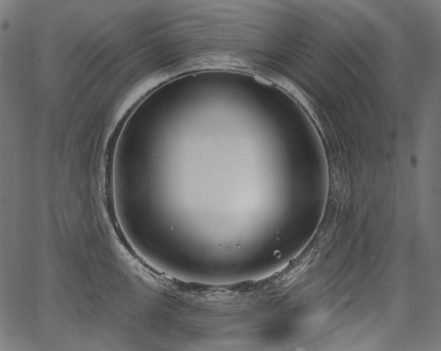 X0000067391147200603311252