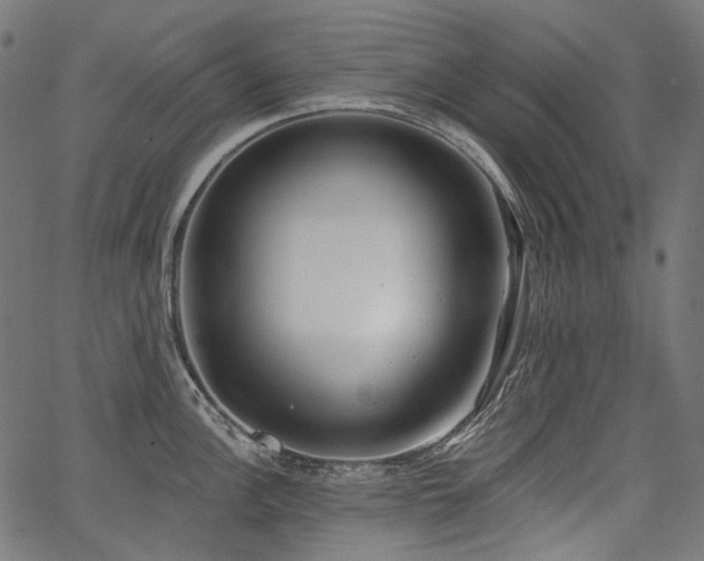 X0000067391148200603311252