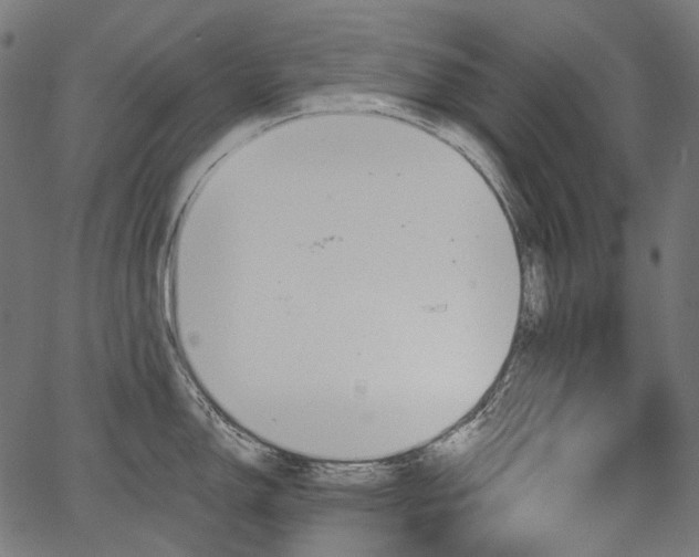 X0000067391150200603311252