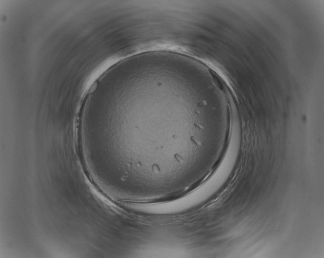 X0000067391151200603311252