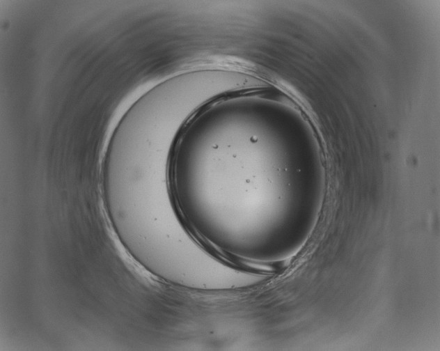 X0000067391152200603311252