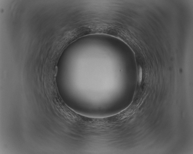 X0000067391153200603311252