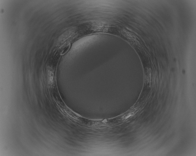 X0000067391154200603311252