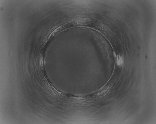 X0000067391155200603311252