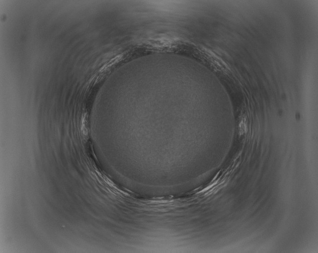 X0000067391156200603311252