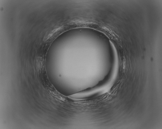 X0000067391157200603311252