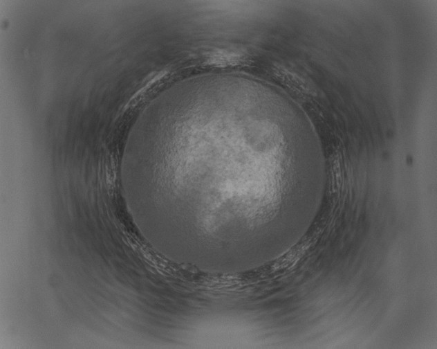 X0000067391158200603311252