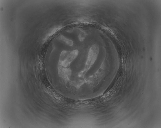 X0000067391159200603311252