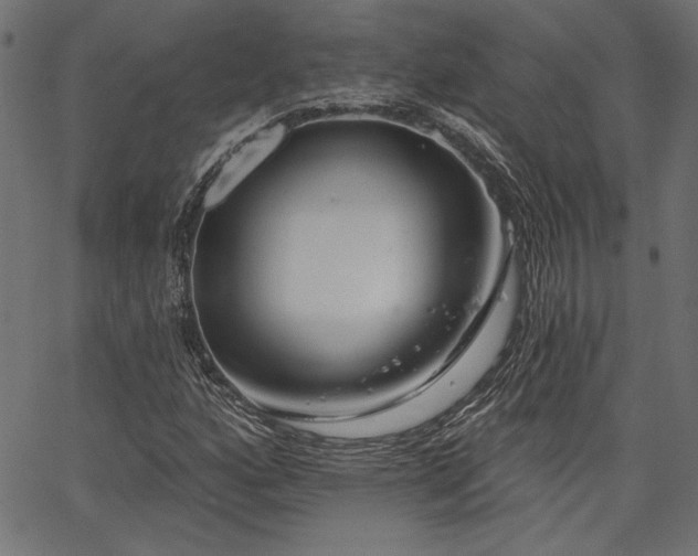 X0000067391160200603311252