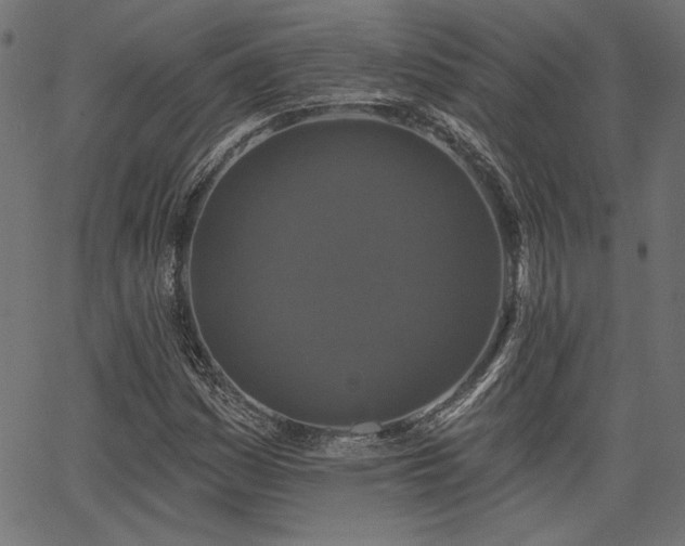 X0000067391161200603311252