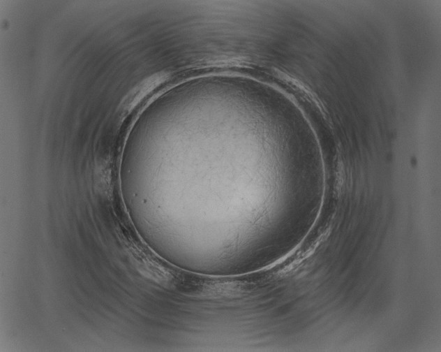 X0000067391162200603311252