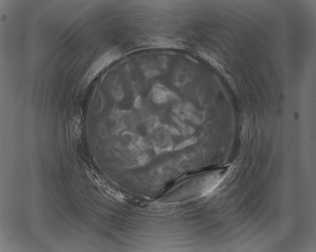 X0000067391163200603311252