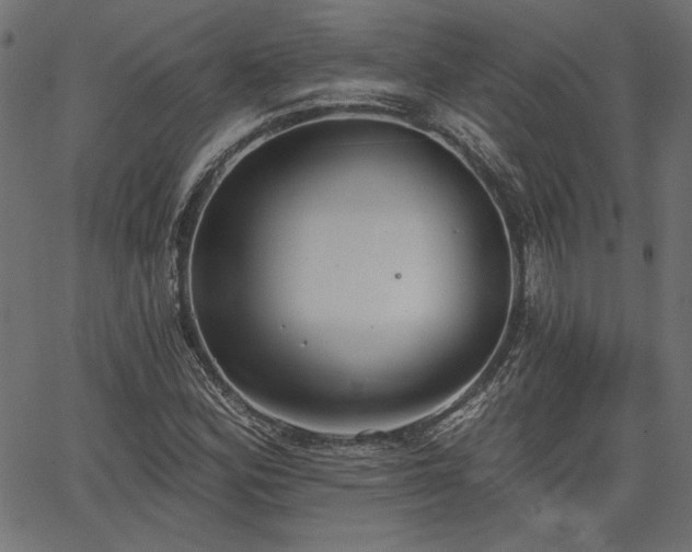 X0000067391164200603311251