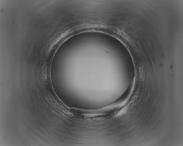 X0000067391165200603311251