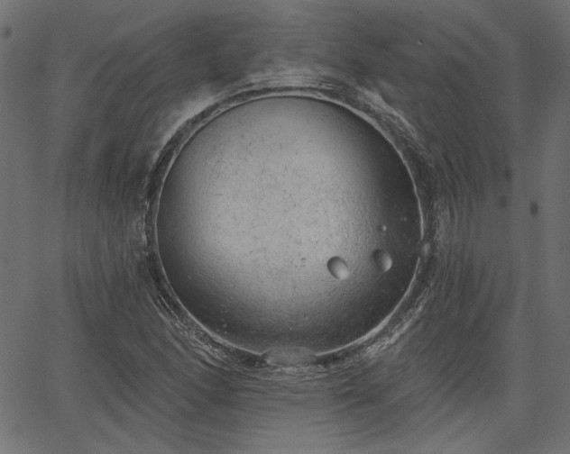 X0000067391166200603311251