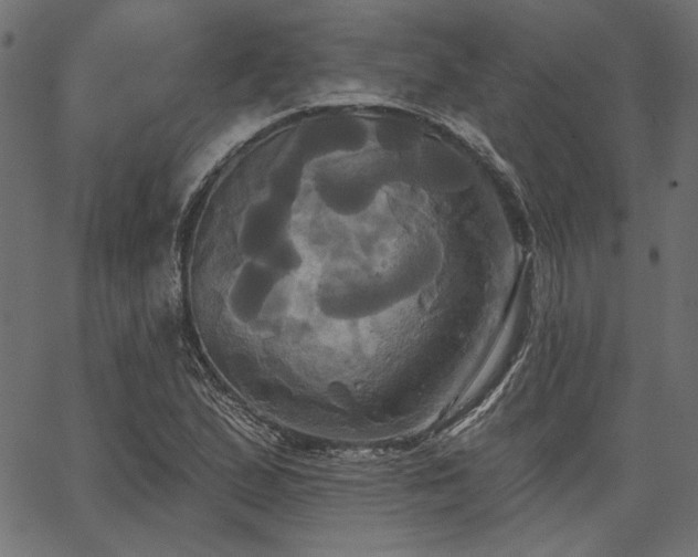 X0000067391167200603311251