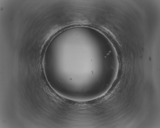 X0000067391168200603311251