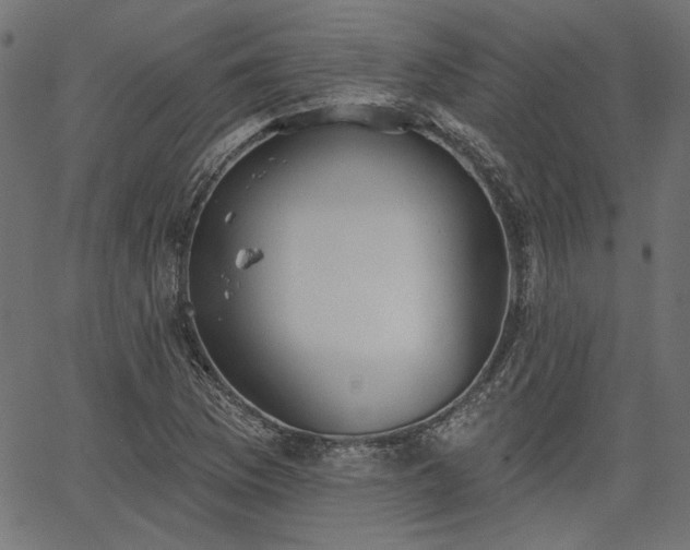 X0000067391169200603311251