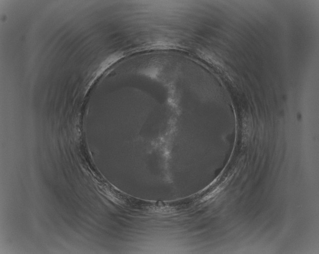 X0000067391170200603311251