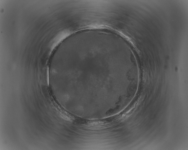 X0000067391171200603311251