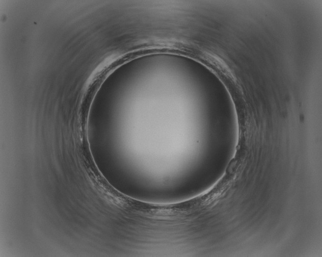 X0000067391172200603311251