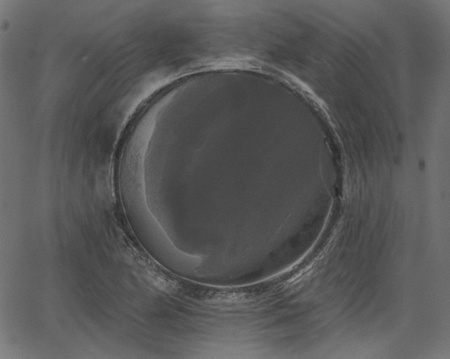 X0000067391174200603311251