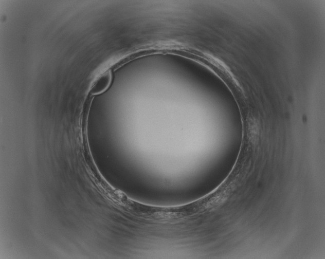 X0000067391176200603311251