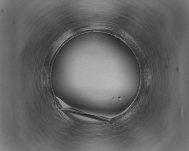 X0000067391177200603311251